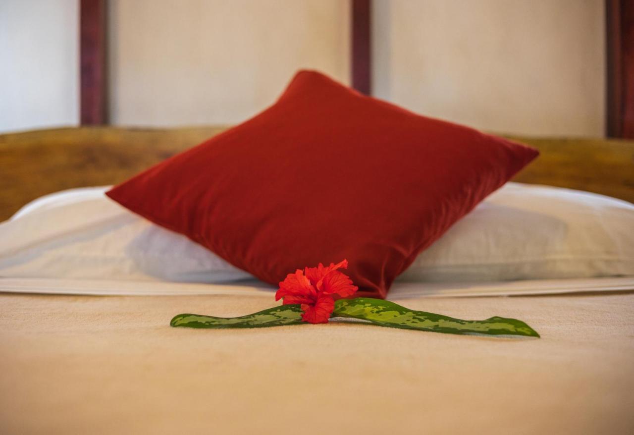 Namuwoki Lodge Puerto Viejo de Talamanca Екстериор снимка