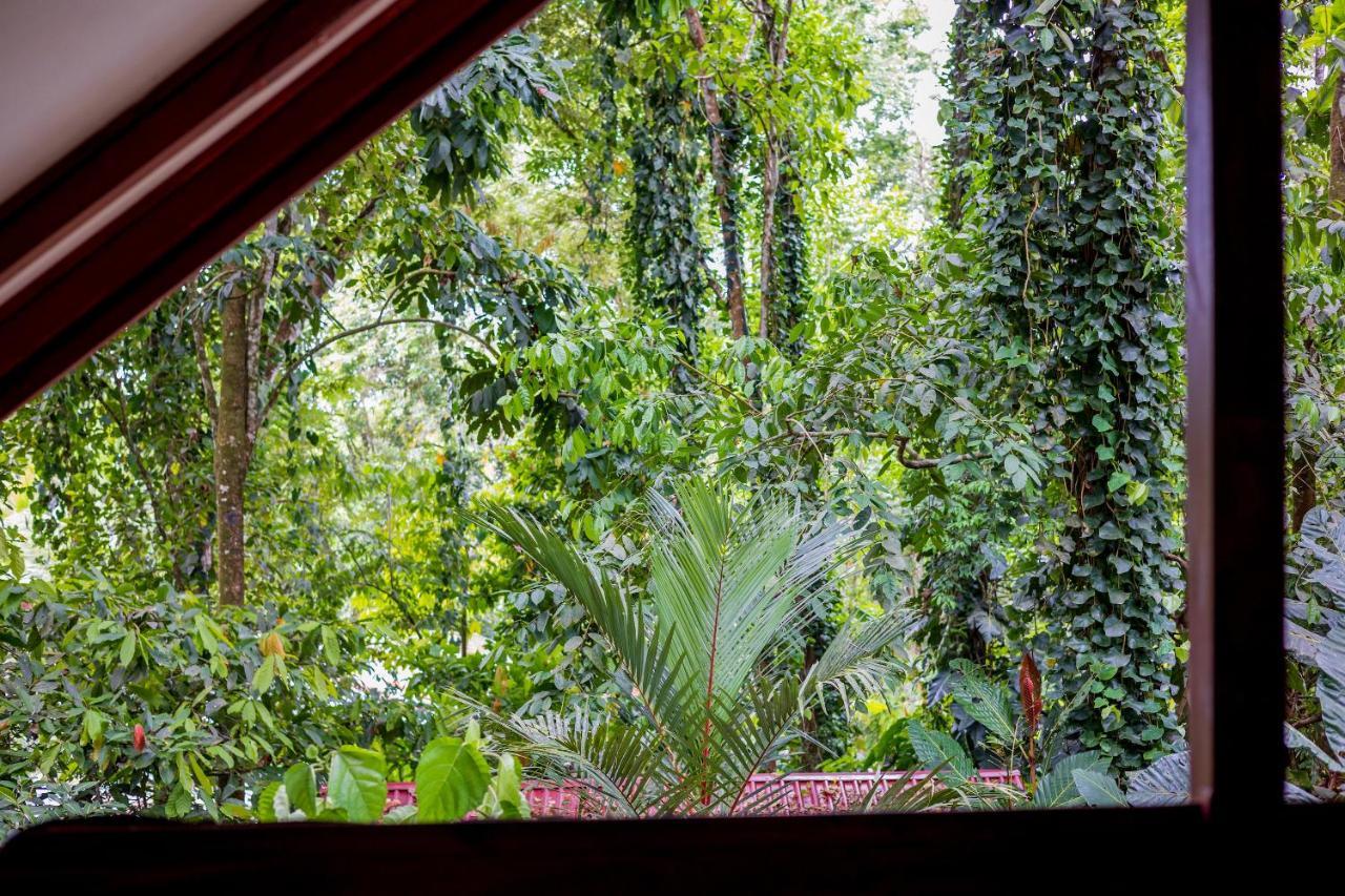 Namuwoki Lodge Puerto Viejo de Talamanca Екстериор снимка