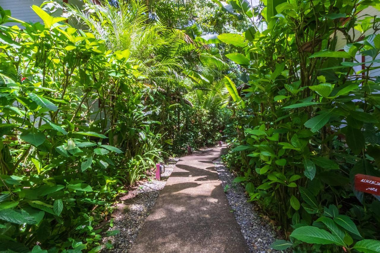 Namuwoki Lodge Puerto Viejo de Talamanca Екстериор снимка